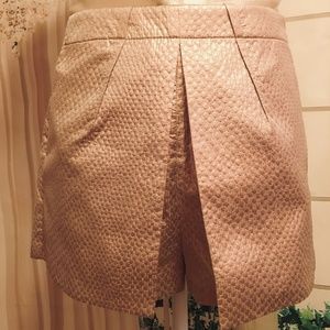 Small Gold Short Shorts/Skirt